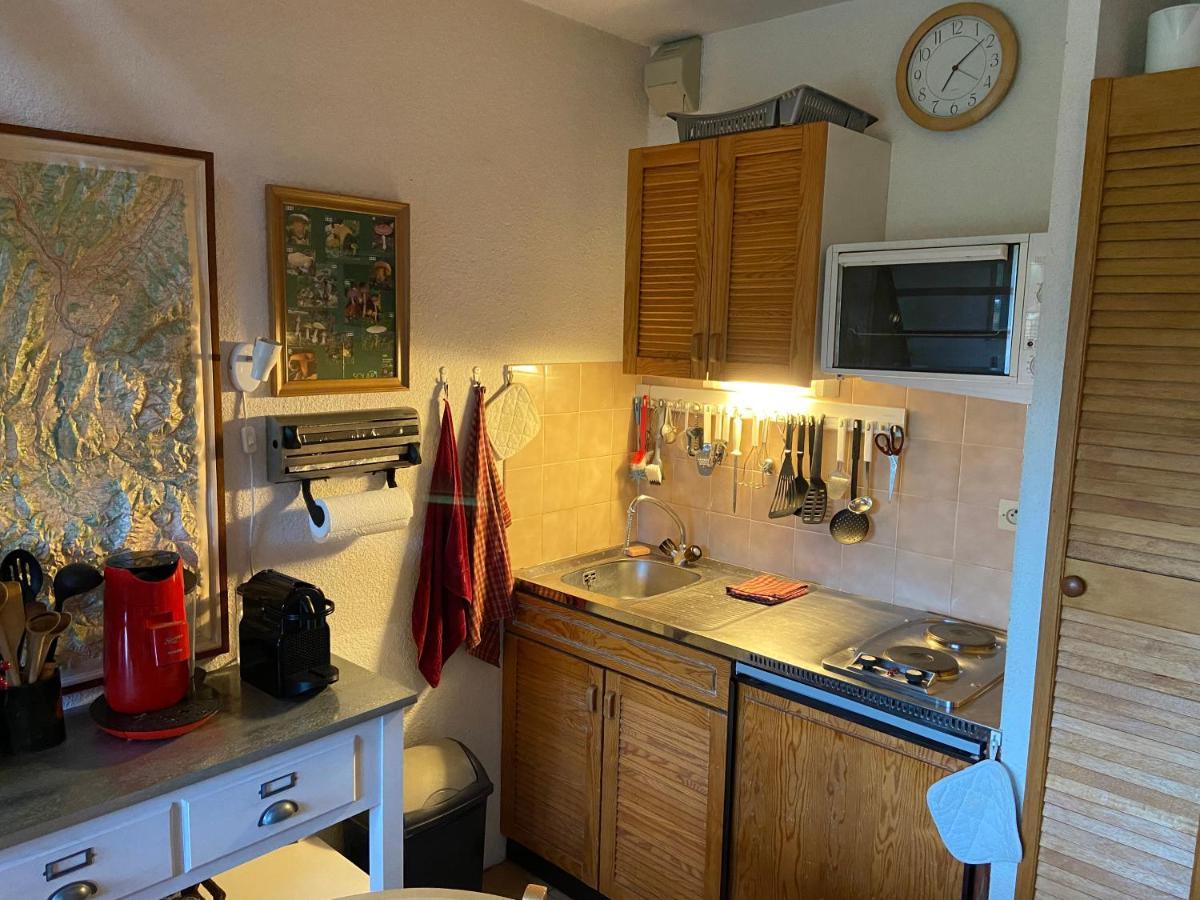 Plenouze Apartment Autrans-Meaudre-en-Vercors Ngoại thất bức ảnh